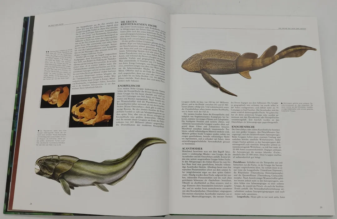 Buch Enzyklopädie der "Fische" – Bild 5