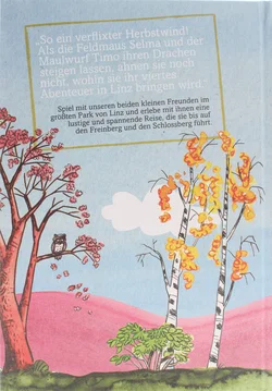 Buch Konvolut Kinderbücher „Timo und Selma“ – 3x Stadt-Geschichte – Hardcover – Linz Abenteuer – Klaus Luger - Bild 7