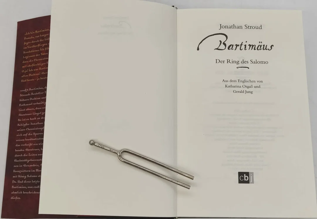 Buch Bartimäus "Der Ring des Salomo" von Jonathan Stroud – Bild 4