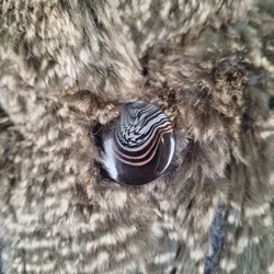 Exklusiver Strickmantel mit Pelz - ca. L - Bild 4