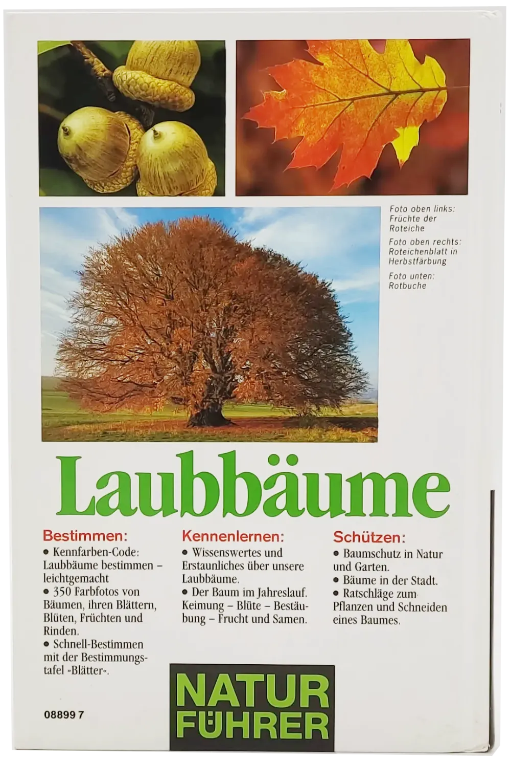 Buch "Laubbäume" von Gregor Aas und Andreas Riedmiller – Bild 2