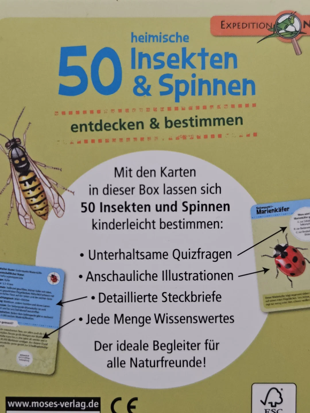 Heimische 50 Insekten & Spinnen. entdecken & bestimmen - Gesellschaftsspiele - Moses – Bild 3
