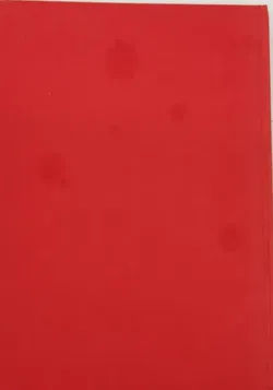 Buch Set 