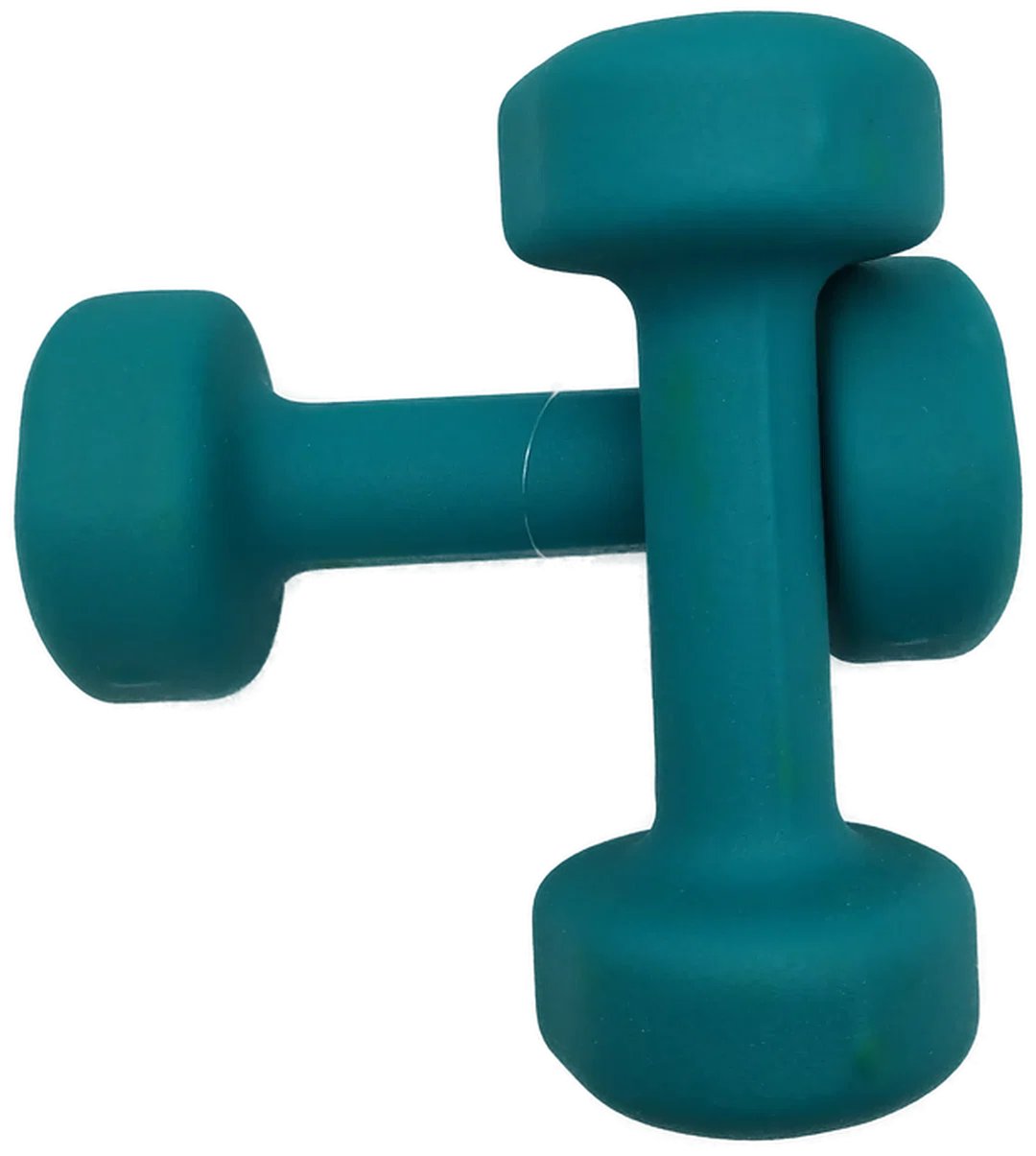 Hanteln Proiron 3 kg | Heimstudio-Begleiter – Bild 4