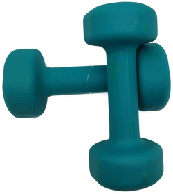 Hanteln Proiron 3 kg | Heimstudio-Begleiter - Bild 4