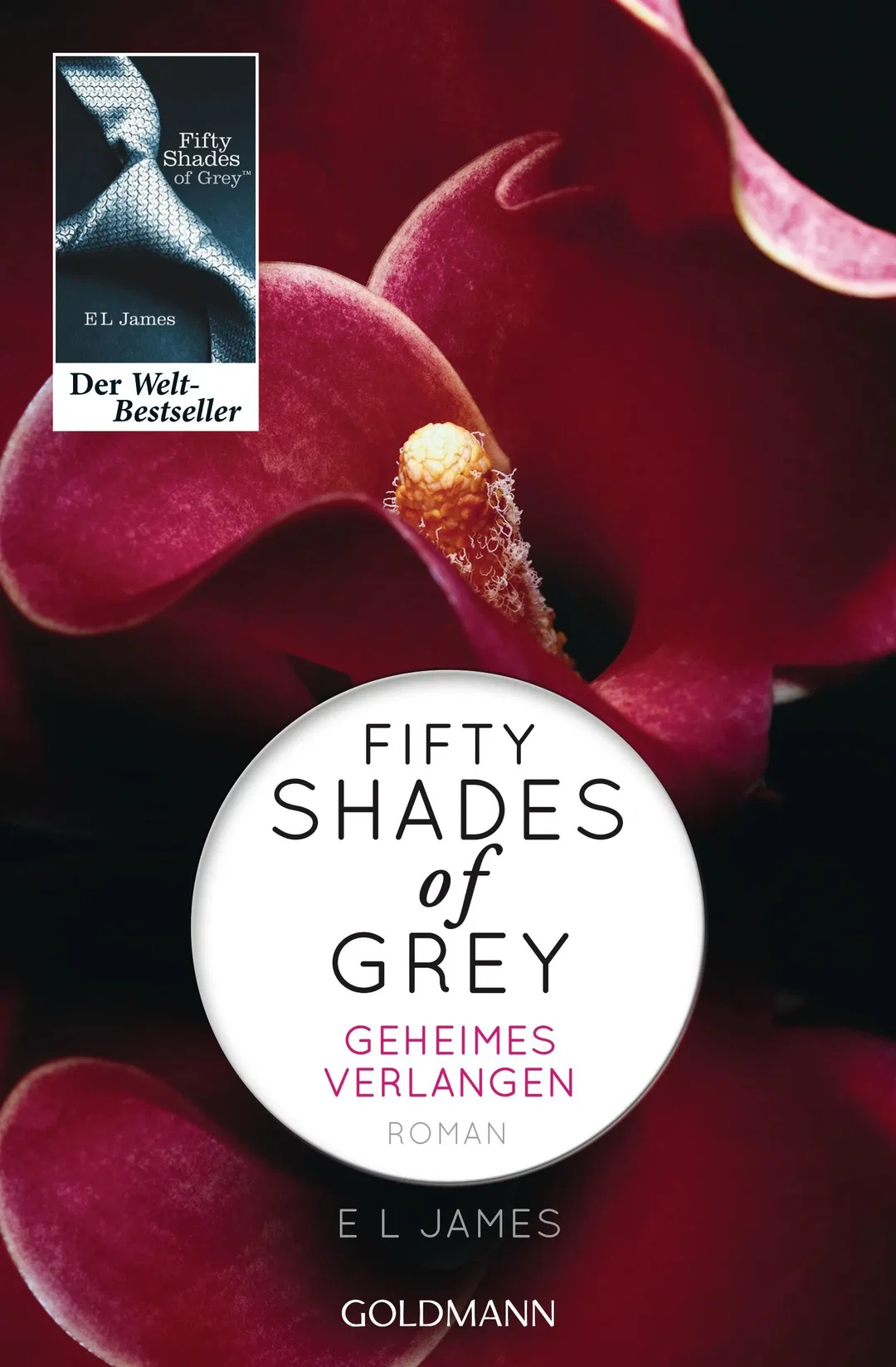 Fifty Shades of Grey - Geheimes Verlangen - E L James – Bild 1