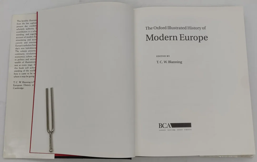 Buch The Oxford Illustrated History of "Modern Europe" Edited by T. C. W. Blanning auf Englisch – Bild 4