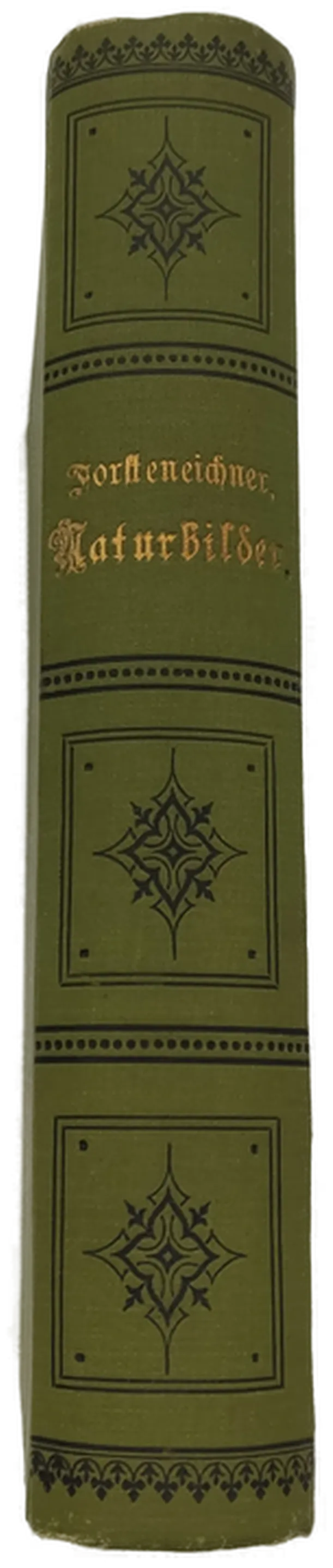 Altes Buch Forsteneichner Naturbilder – Bild 2