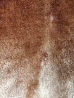 Damen Kunstfell-Jacke braun - XXL / 44 - Bild 4