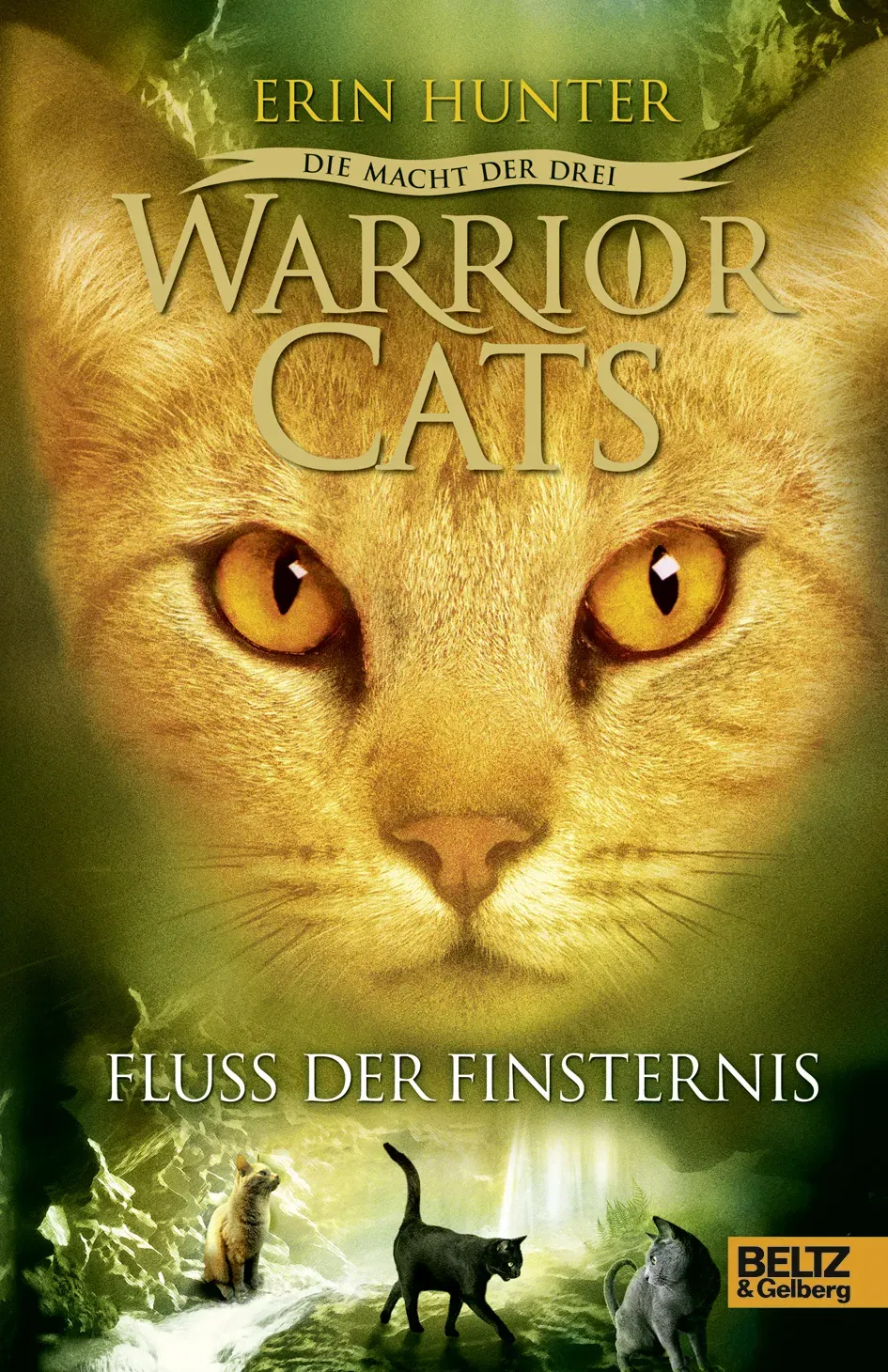 Warrior Cats - Die Macht der drei - Fluss der Finsternis - Erin Hunter - Bild 2