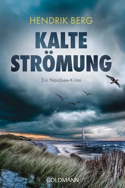 Kalte Strömung - Hendrik Berg - Bild 1