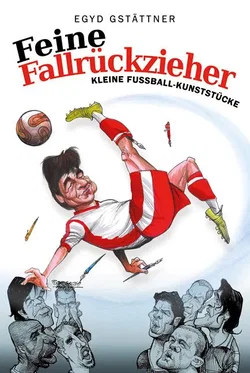 Feine Fallrückzieher - Egyd Gstättner