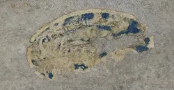 Altes Waschbrett Zinkblech - Bild 3