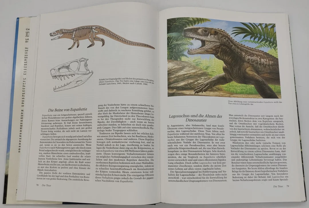 Buch Dinosaurier "Leben und Untergang der geheimnisvollen Urzeittiere" – Bild 7