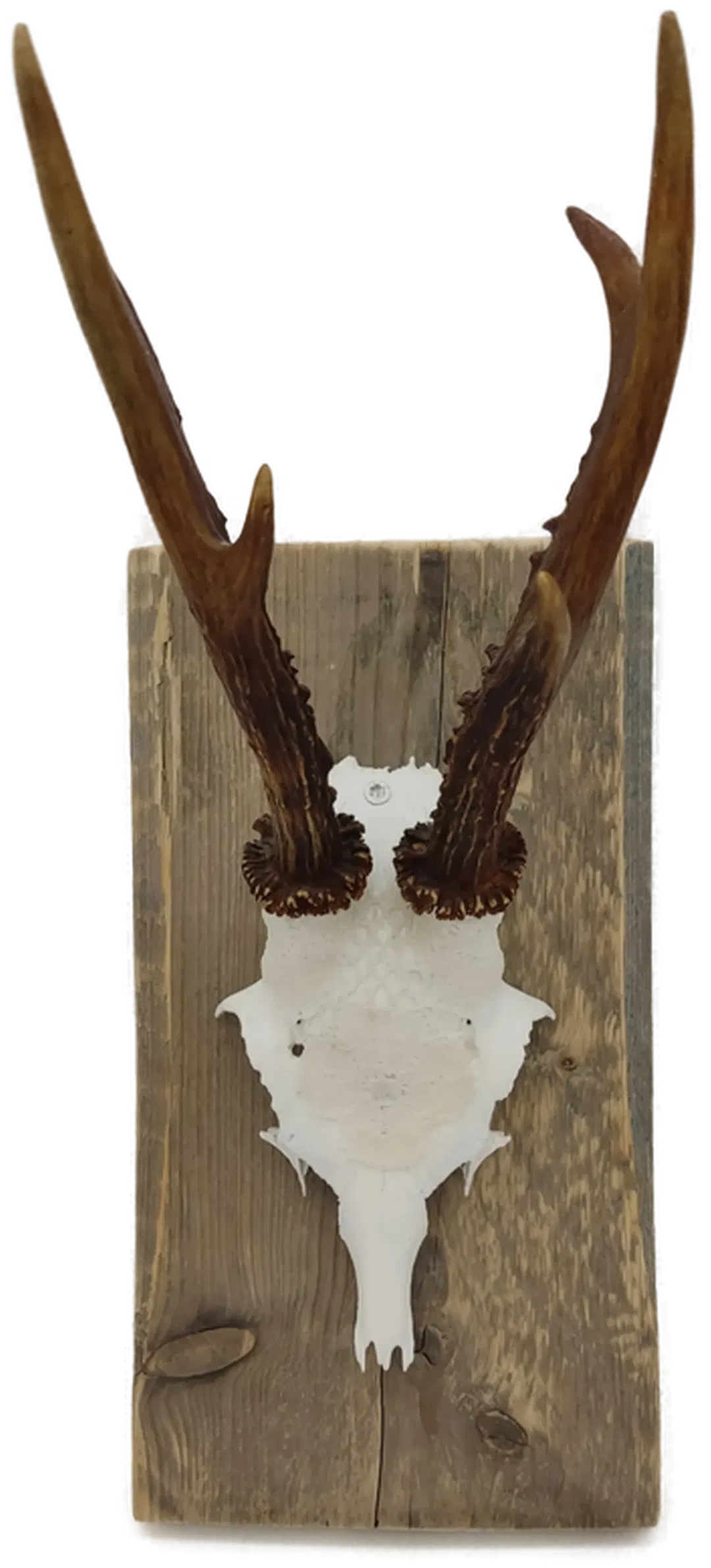 Krickerl mit Spitzen - Bild 2