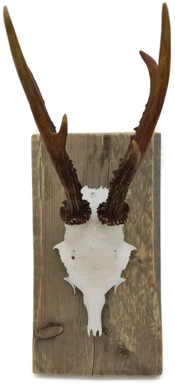 Krickerl mit Spitzen - Bild 1