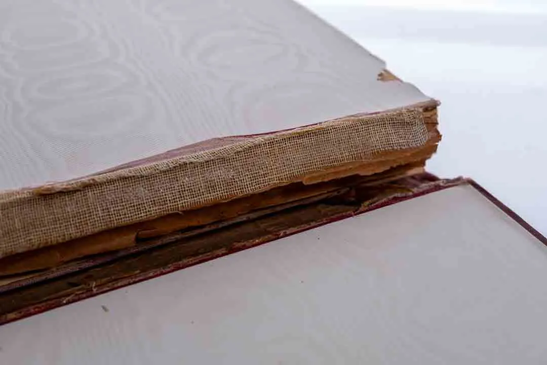 Buch "Die Bibel in der Kunst - Nach Original-Illustrationen erster Meister der Gegenwart" – Bild 4