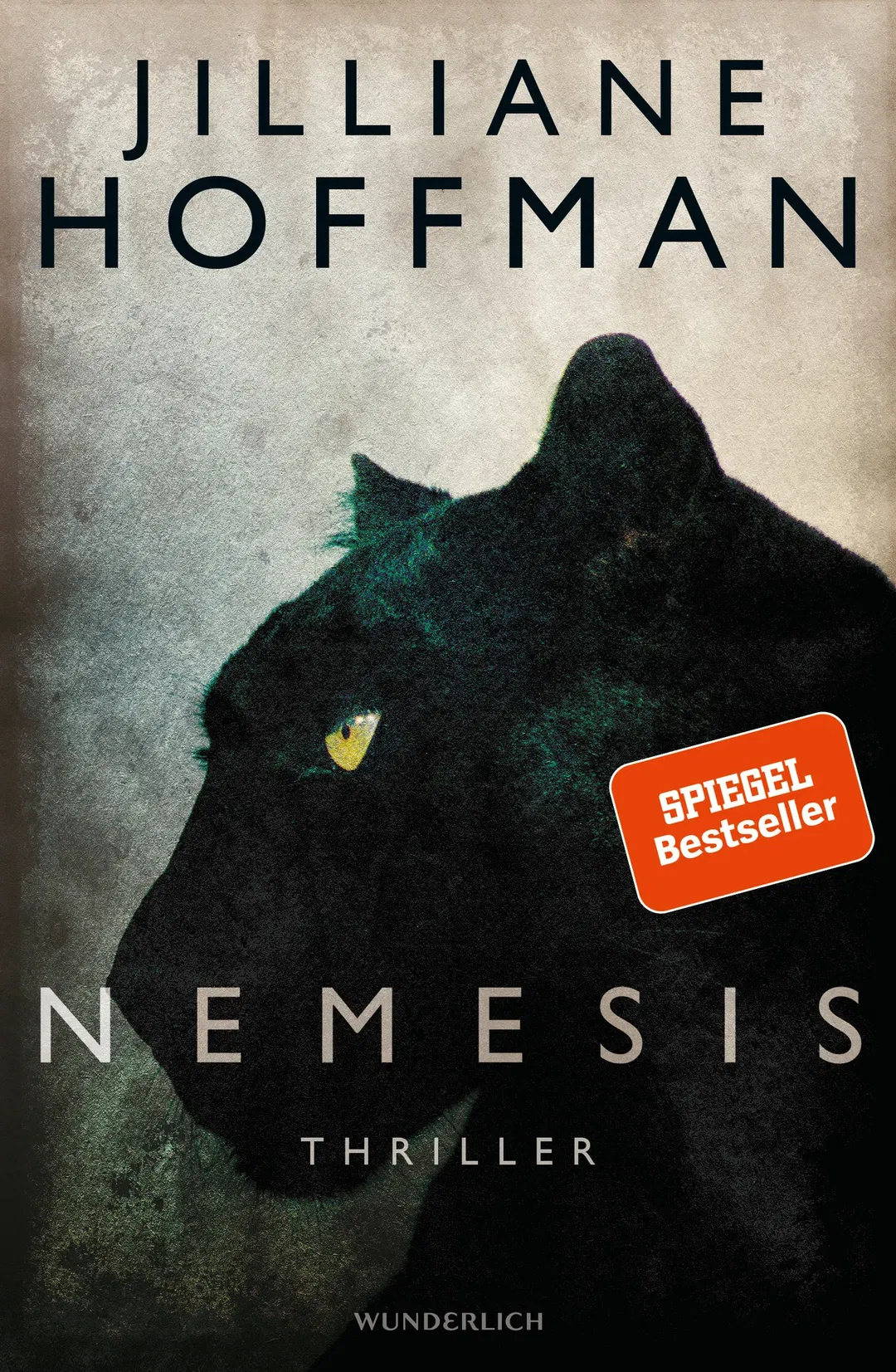 Nemesis - Jilliane Hoffman - Thriller - Bild 1