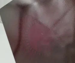 Ceranglas für Warmehalteplatte | Robust & Zeitlos - Bild 5