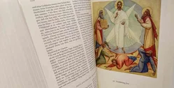 Die Bibel – Mit Bildern von Michael Fedorow – Hardcover im Schuber - Bild 3