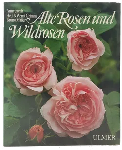 Buch 