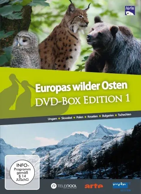 DVD BOX 