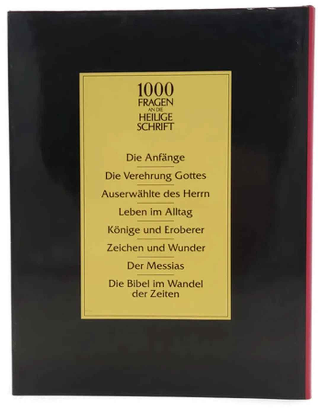 Buch "1000 Fragen an die Heilige Schrift - Neue Einblicke n die faszinierende Welt der Bibel" – Bild 2