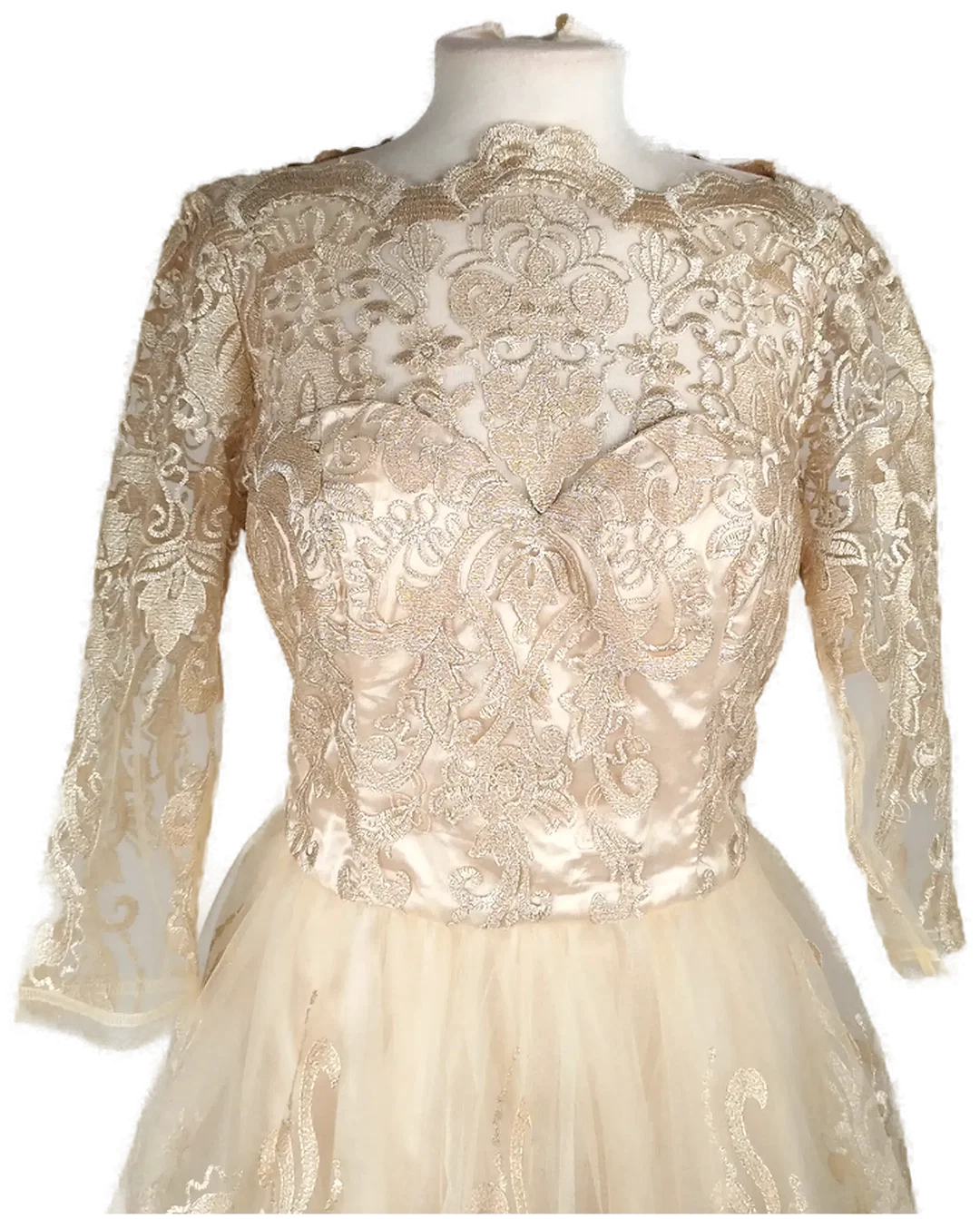 Spitzenkleid Chi Chi London Champagner | Festlicher Charme – Bild 5