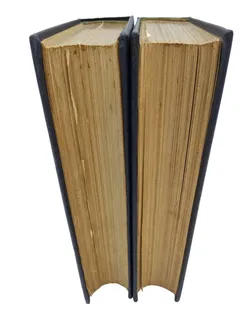 Allgemeine Kunstgeschichte der Malerei Band 1 und Band 2  - Bild 4