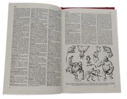 Buch Readers Digest Universal-Lexikon Band 1 bis 3 - Bild 5