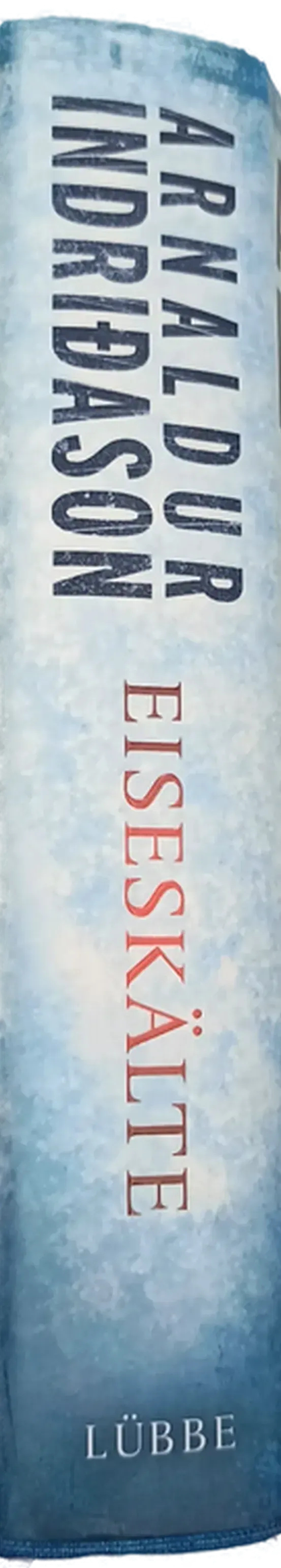 Eiseskälte - Arnaldur Indriðason – Bild 2