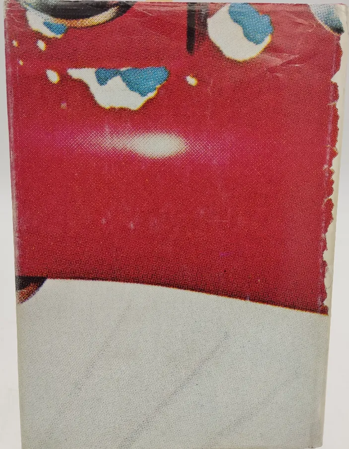 Buch "CCA ANNUAL 7" ausgewählte österreichische Werbung der Jahre 1980 und 1981 – Bild 2
