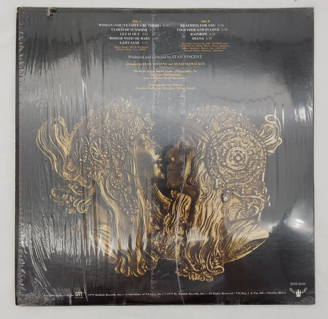 Langspielplatte - Jae Mason - Tender Man – Bild 2