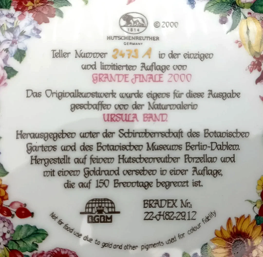 Hutschenreuther Sammelteller - „Grande Finale 2000“ von Ursula Band (Teller 2473 A) – Bild 3