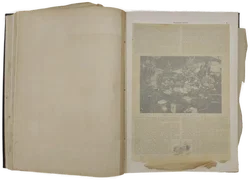 Moderne Kunst in Meister-Holzschnitten Band 15 - Bild 5