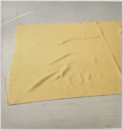 Erwin Wurm - Wiener Zimmer - Bild 2