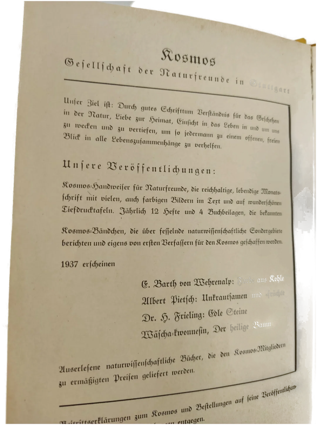"Der heilige Baum" – Bild 3