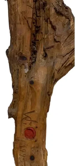 Handgeschnitzter Jesus am Kreuz – Rustikale Holzskulptur 62 cm Unikat - Bild 3