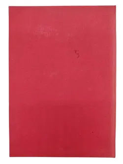 Gesund in die Zukunft - Bild 5