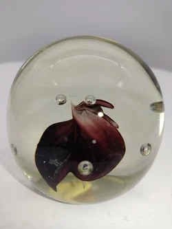 Joska Glas Briefbeschwerer mit Dunkelroten Blumen | Zeitloser Charme - Bild 11