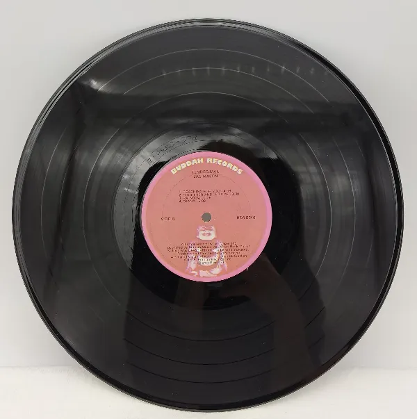Langspielplatte - Jae Mason - Tender Man – Bild 3