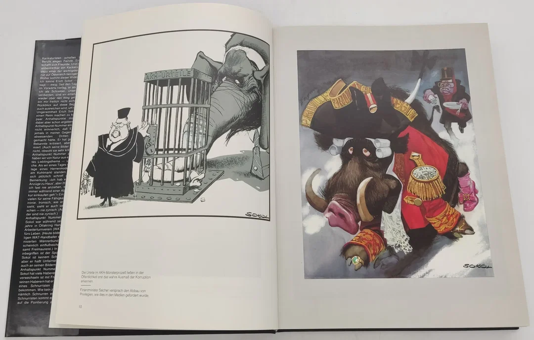 Buch/Bildband Kopfsalat von Sokol 1987 – Bild 6