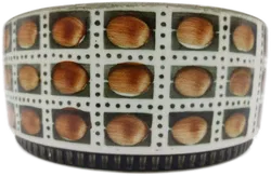 Boch Belgium Bernadette Schüssel  - Bild 4