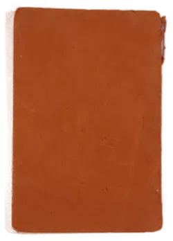 Buch 