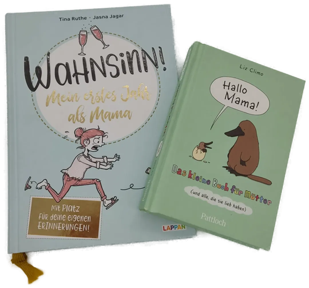 Wahnsinn! Mein erstes Jahr als Mama - Tina Ruthe,Jasna Jagar + Hallo Mama - Liz Climo, 2 Bücher - Bild 1