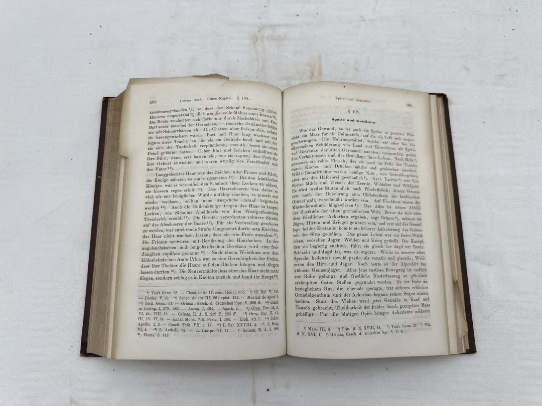 Antikes Buch - Handbuch Deutscher Alterthümer – Bild 3