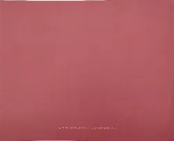 Schiele a Krumlov - Franz E. Wischin, Egon Schiele - Bild 2