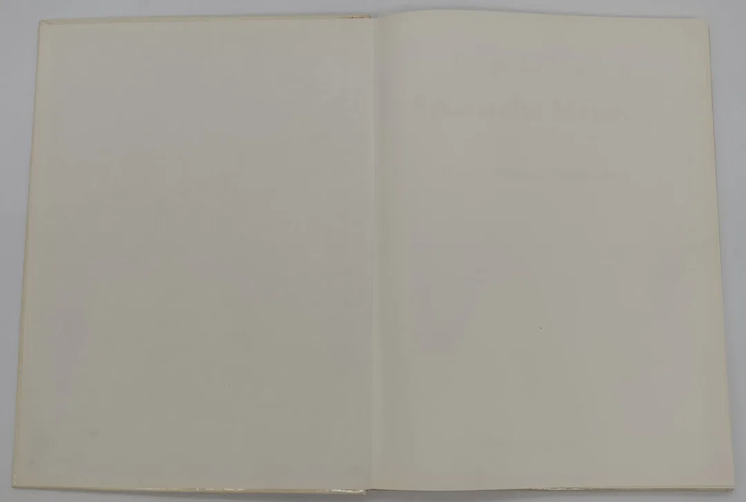 Buch Die großen Maler "Spanische Meister: El Greco, Velázquez, Murillo, Goya" – Bild 2