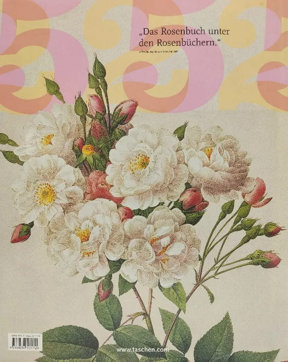 Redouté: Die Rosen - Barbara Schulz, Petra A. Hinz – Bild 2