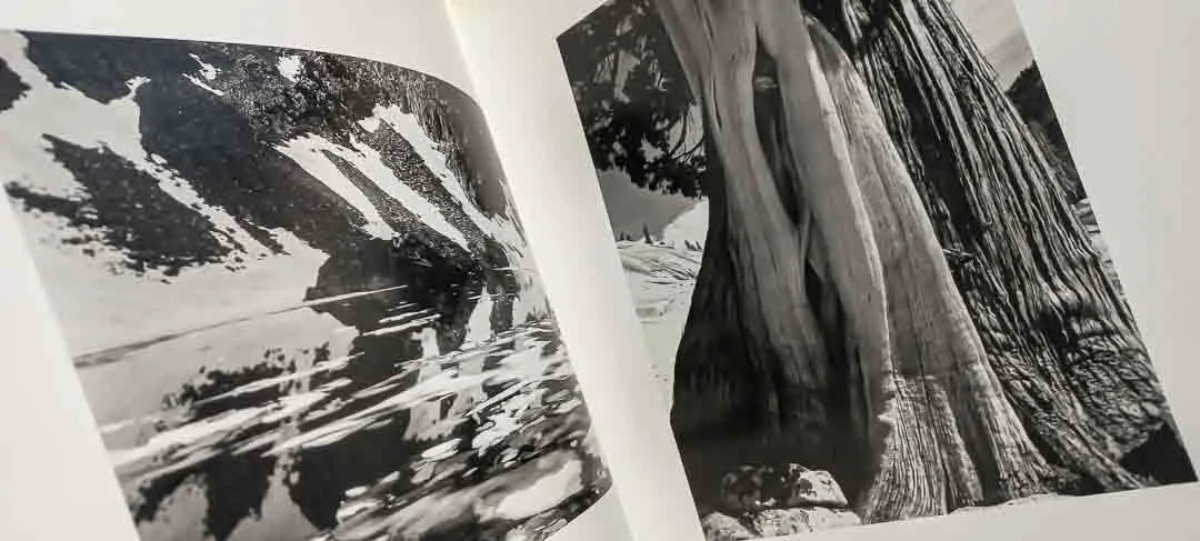 Edward Weston – Meisterwerke der Fotografie (Hardcover-Bildband) – Bild 5